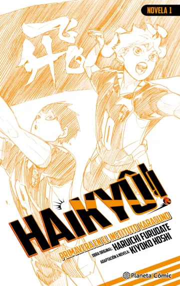 Haikyu 01 (Novela)