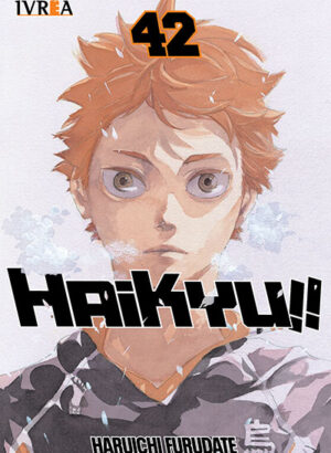 HAIKYU!! 42