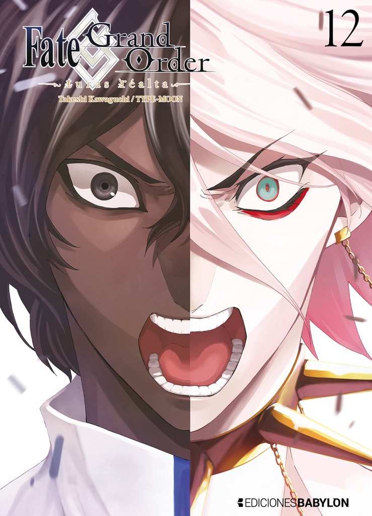 Fate/Grand Order 12