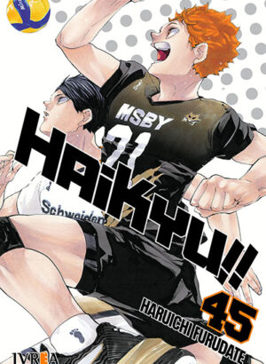 HAIKYU!! 45
