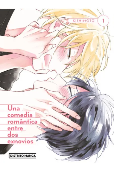 Una comedia romantica entre dos ex novios (PREV NOV)